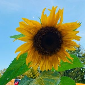 Meet your Posher, Eleni